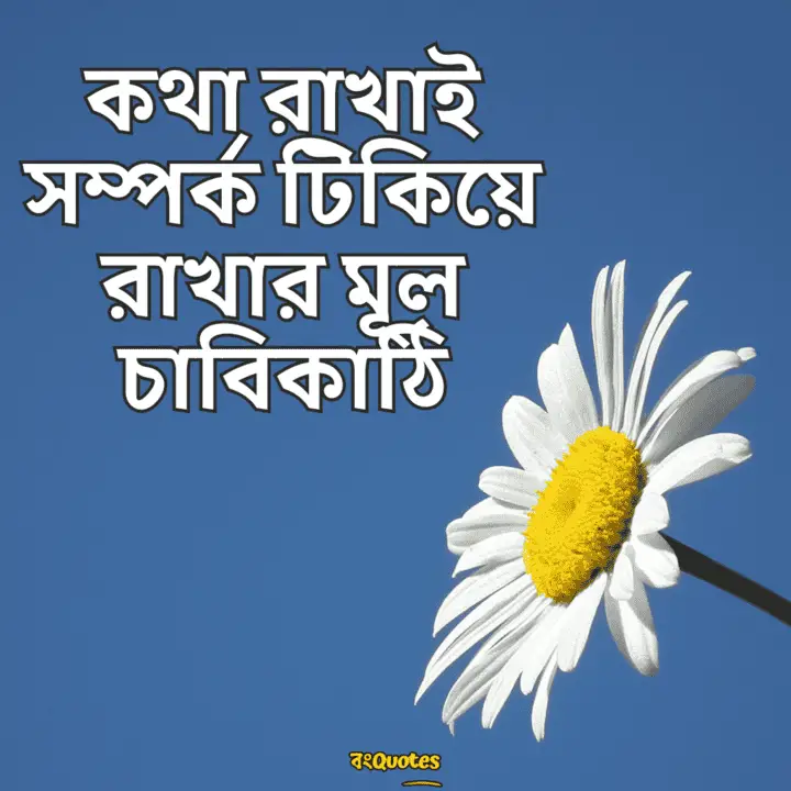 বঞ্চিত হবার কিছু উক্তি 14