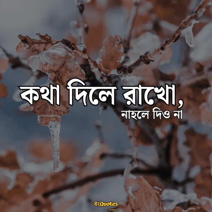 বঞ্চিত হবার কিছু উক্তি3