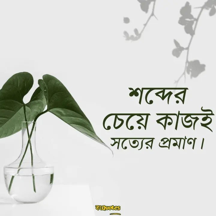 বঞ্চিত হবার কিছু উক্তি4