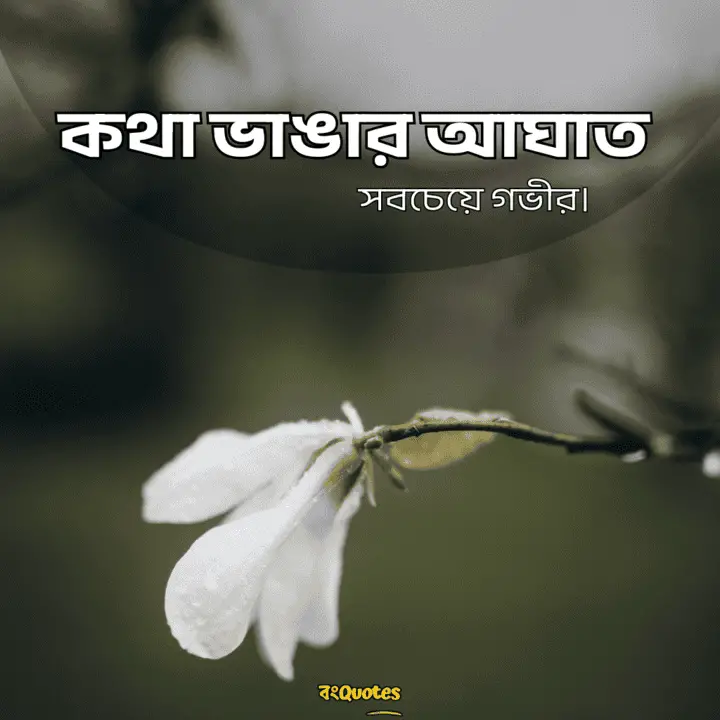 বঞ্চিত হবার কিছু উক্তি 9