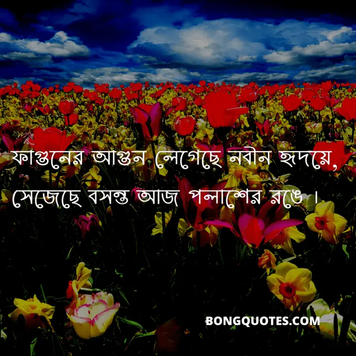 বসন্ত নিয়ে কবিতার লাইন ~ Spring Shayeri in Bengali | বসন্তের বিকেল কবিতা