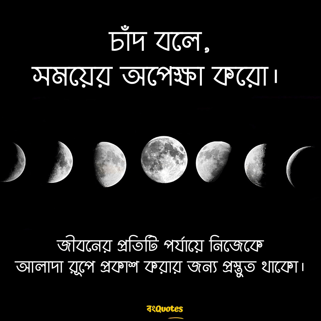 চাঁদ নিয়ে উক্তি 19