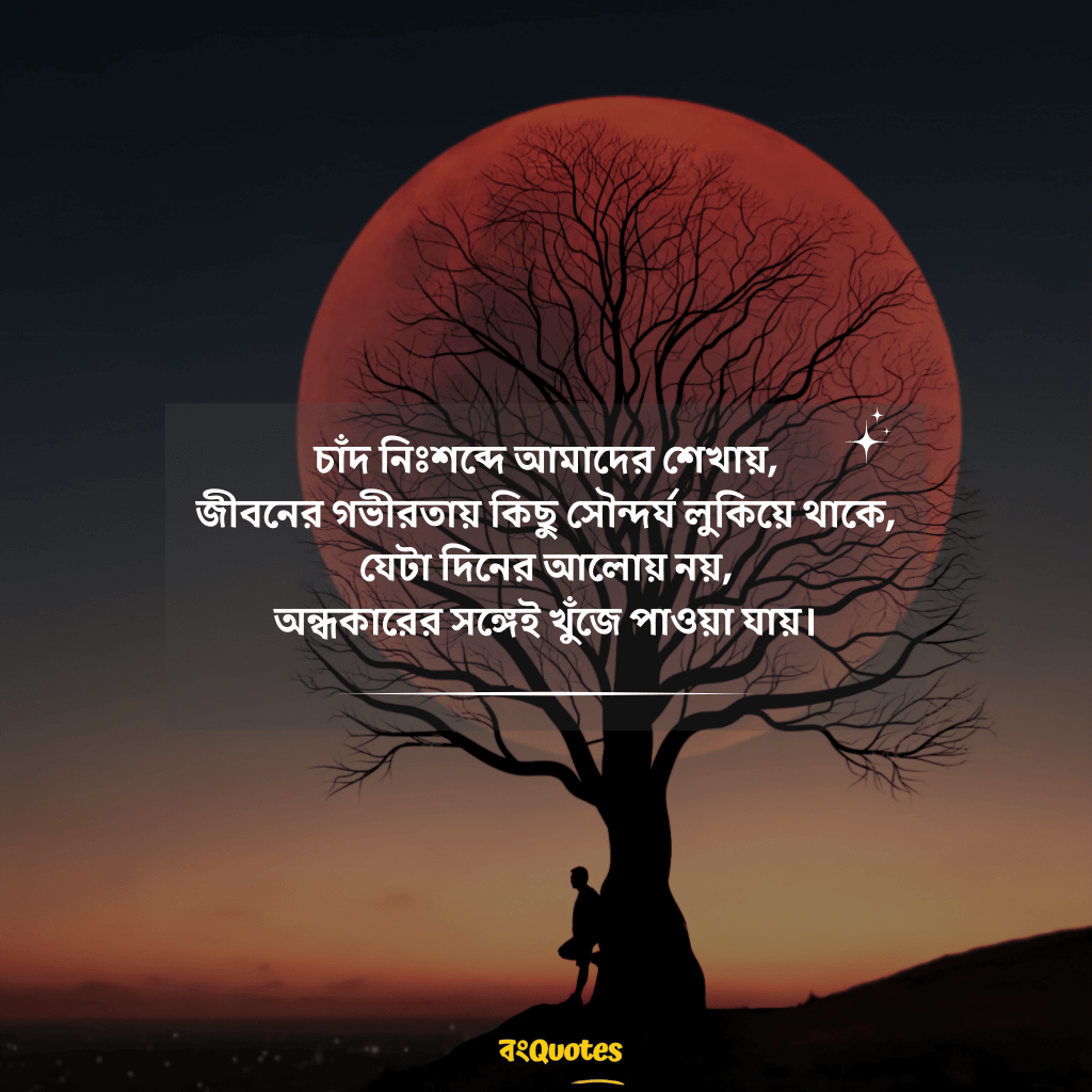 চাঁদ নিয়ে উক্তি 2