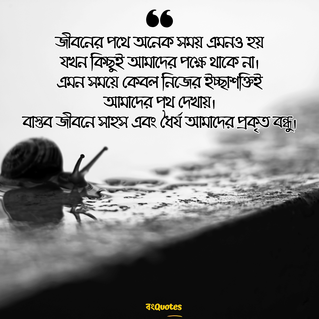 জীবনের বাস্তব কথা 14