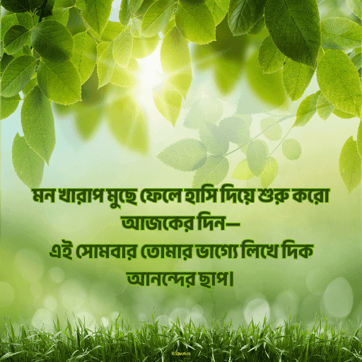 সোমবারের শুভেচ্ছাবাণী 11