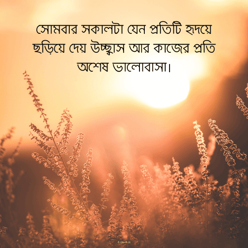 সোমবারের শুভেচ্ছাবাণী 12