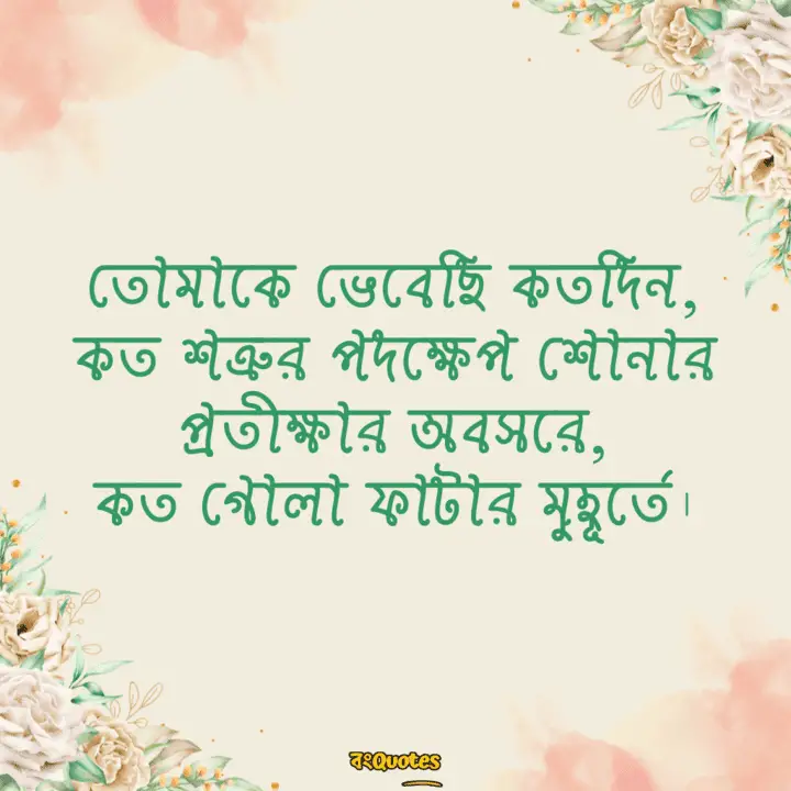 বিখ্যাত কাব্যিক ক্যাপশন 16