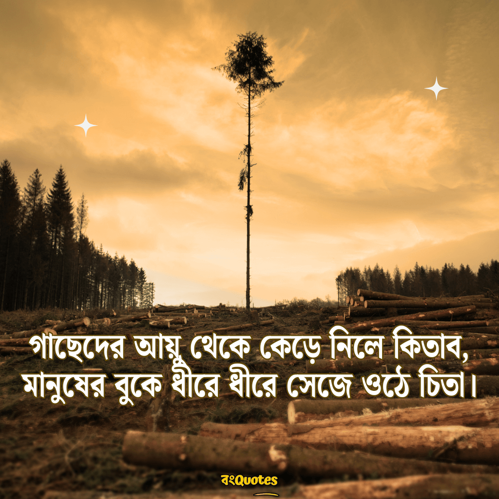 কাব্যিক ক্যাপশন 7