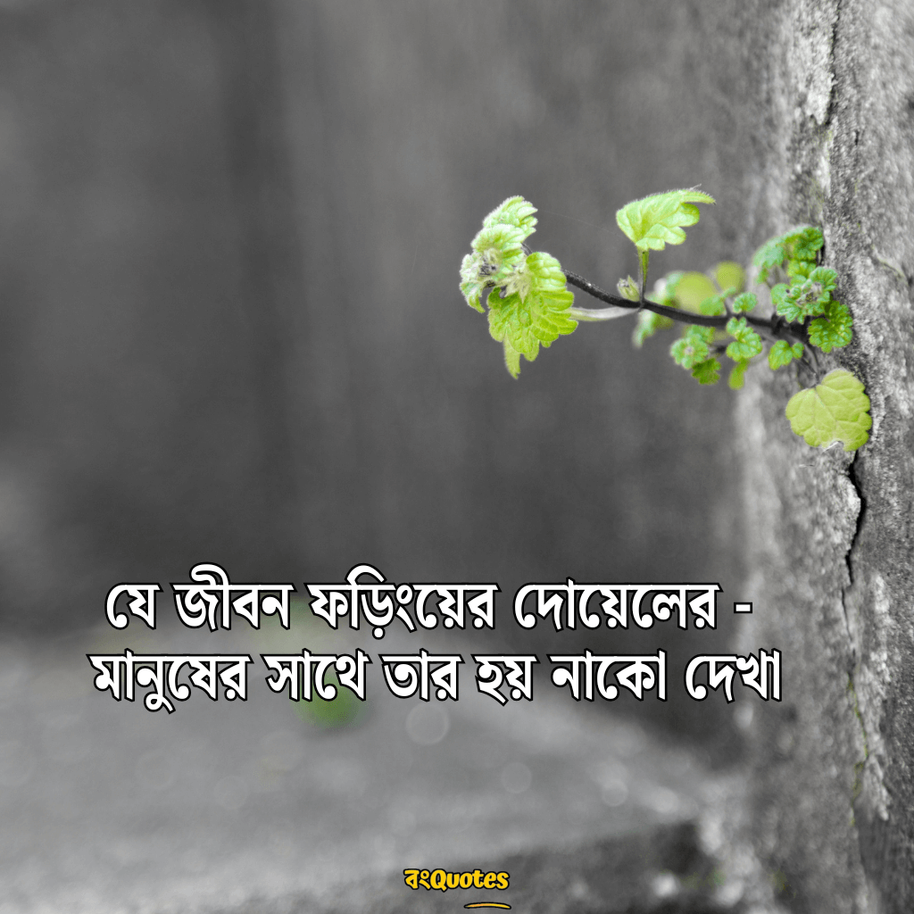 কাব্যিক ক্যাপশন 9