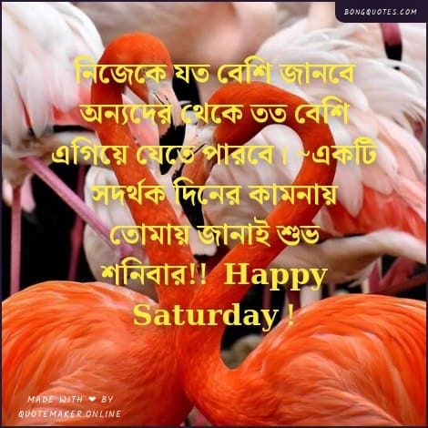 শনিবারের শুভেচ্ছাবার্তা স্টেটাস