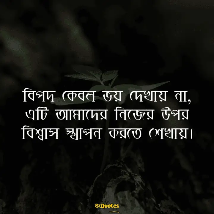 বিপদ নিয়ে উক্তি 11