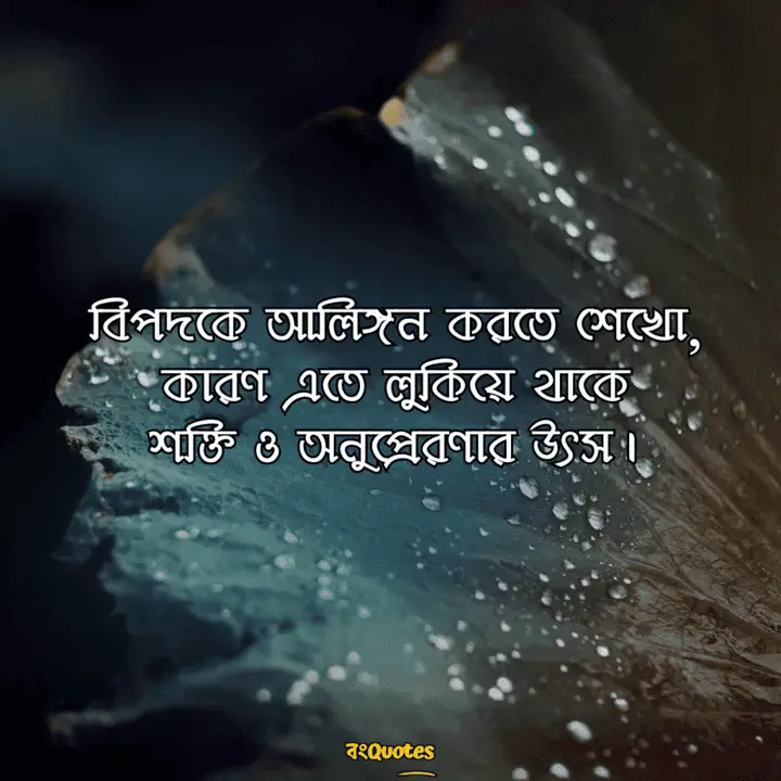 বিপদ নিয়ে উক্তি 14