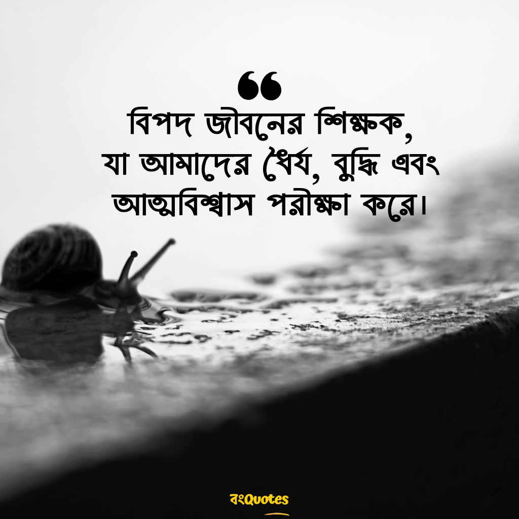 বিপদ নিয়ে উক্তি 17