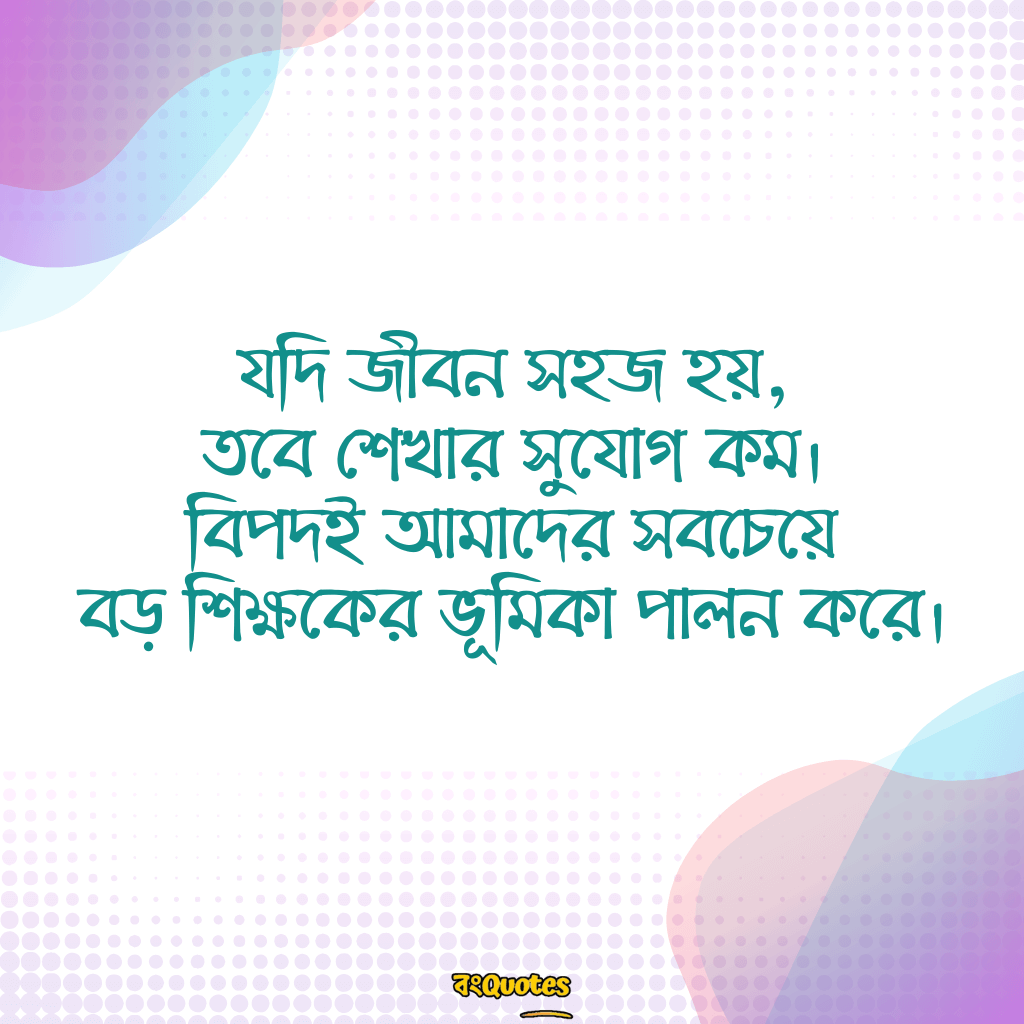 বিপদ নিয়ে উক্তি 20