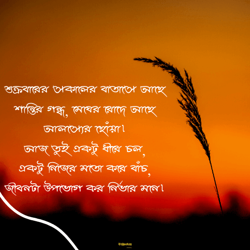 শুক্রবারের শুভেচ্ছা 4