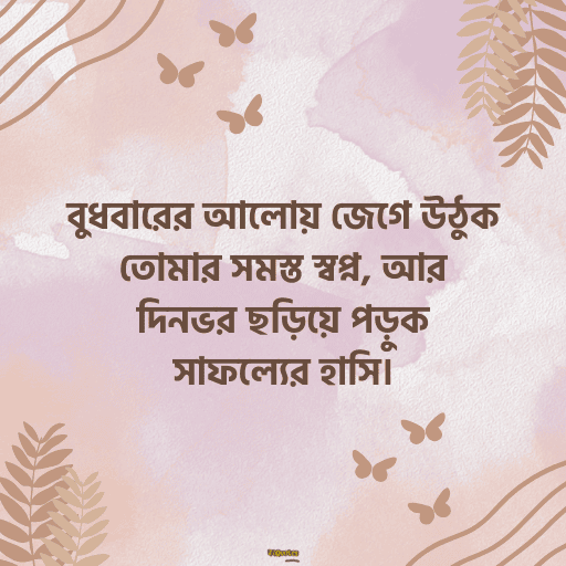 বুধবারের শুভ সকাল 1