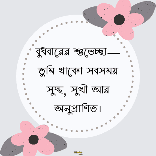 বুধবারের শুভ সকাল 11