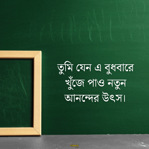 বুধবারের শুভ সকাল 15