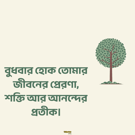 বুধবারের শুভ সকাল 18