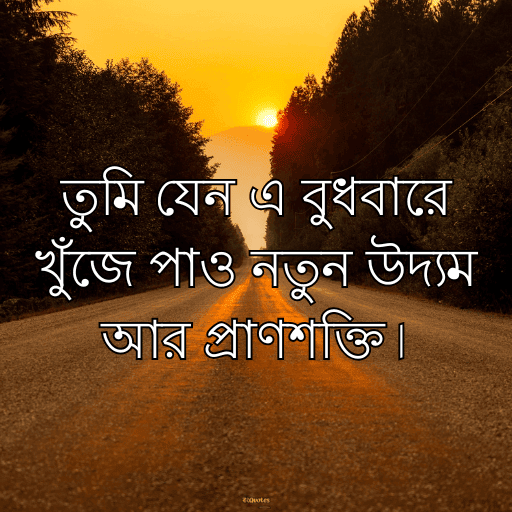 বুধবারের শুভ সকাল 5