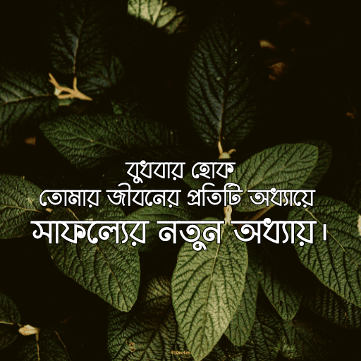 বুধবারের শুভ সকাল 6