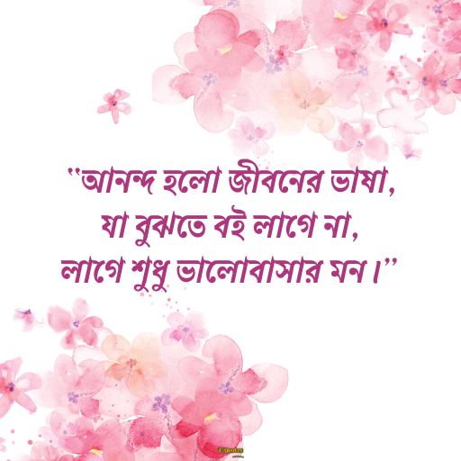আনন্দ নিয়ে উক্তি 16