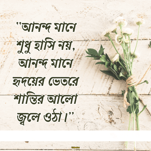 আনন্দ নিয়ে উক্তি 20
