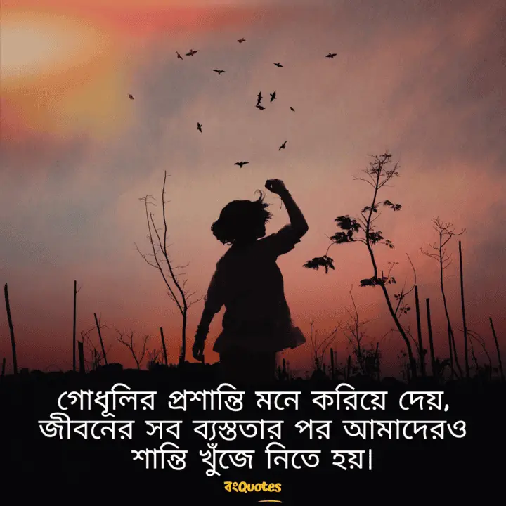 সূর্যাস্ত 17