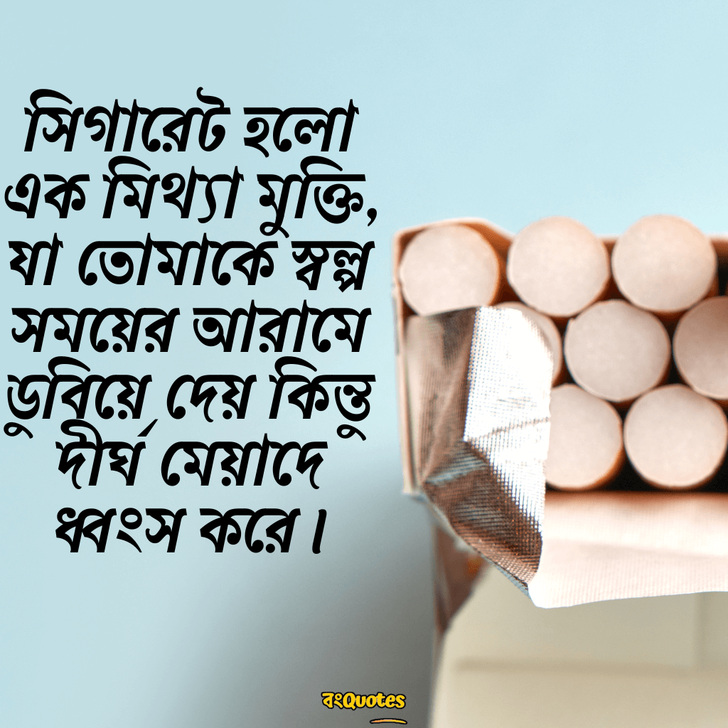 ধূমপান এবং সিগারেট 20