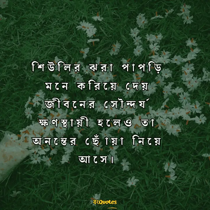 শিউলি ফুল নিয়ে উক্তি 14