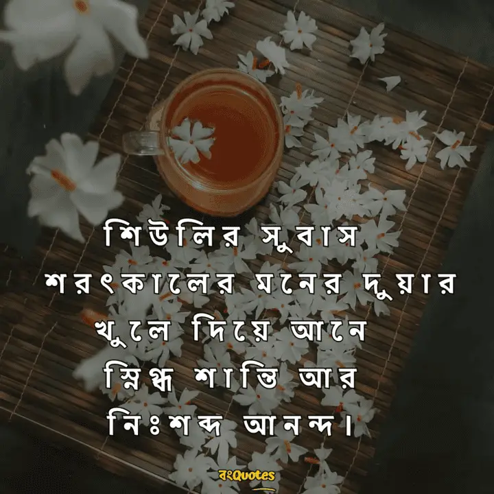 শিউলি ফুল নিয়ে উক্তি 15