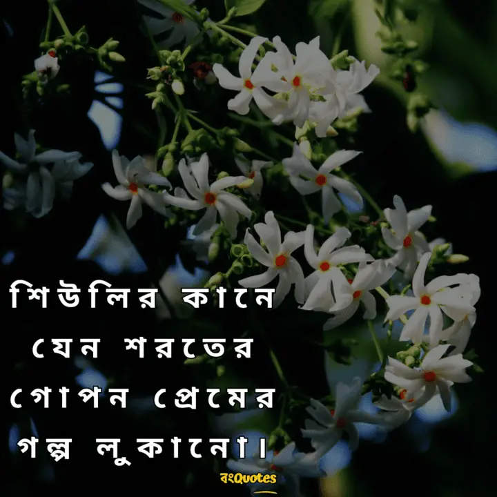 শিউলি ফুল নিয়ে উক্তি 4