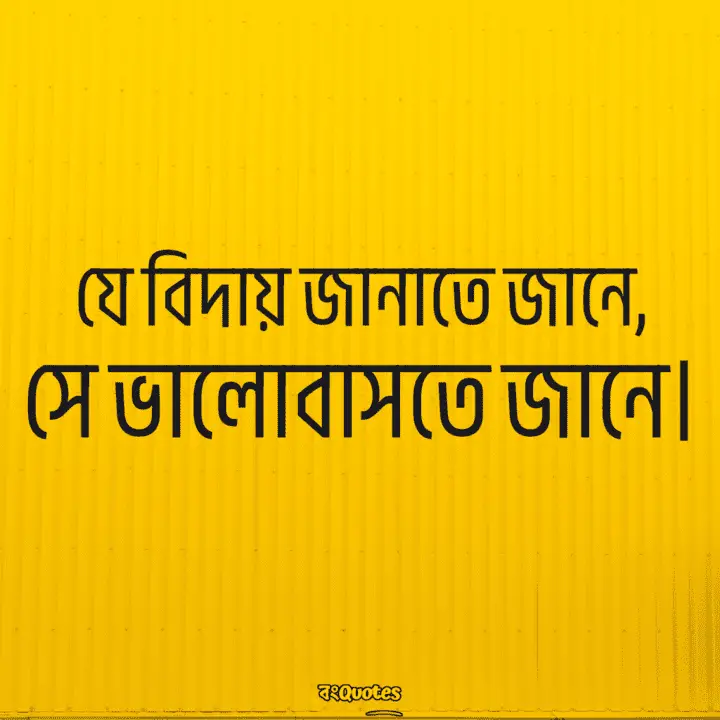 বিদায়ী উক্তি 12