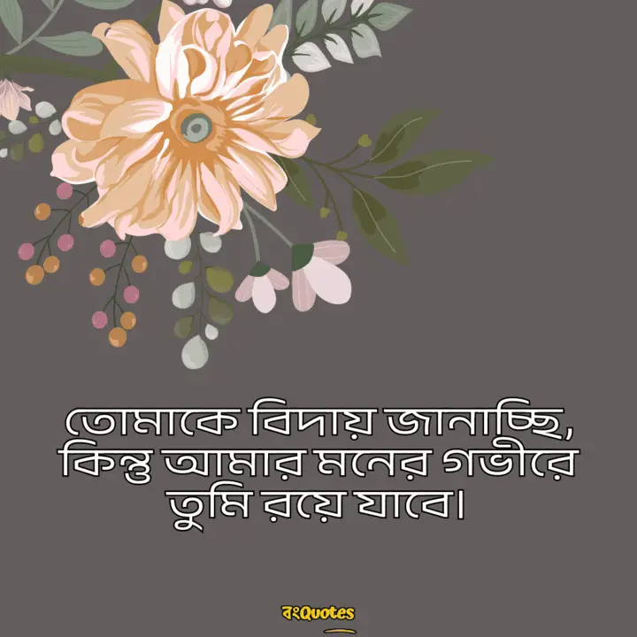 বিদায়ী উক্তি 15