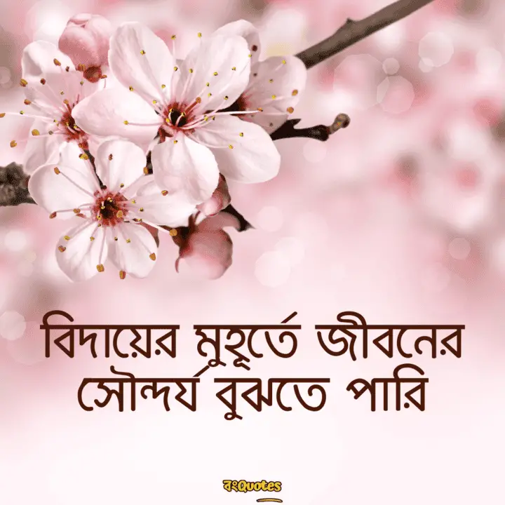 বিদায়ী উক্তি 20