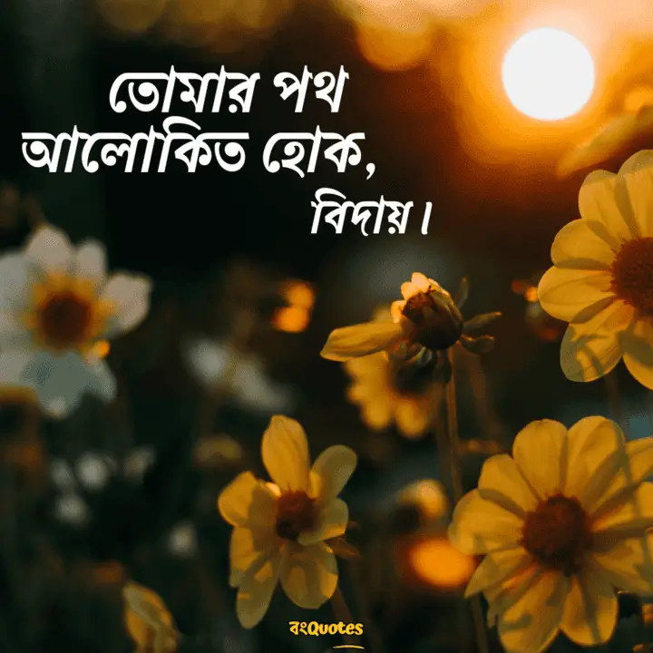 বিদায়ী উক্তি 27