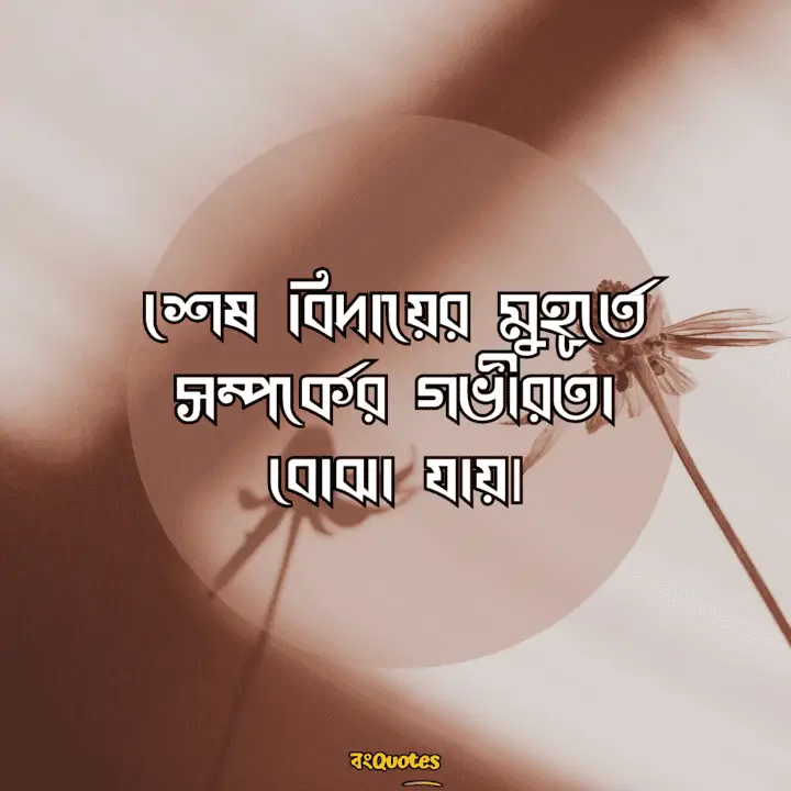 বিদায়ী উক্তি 21