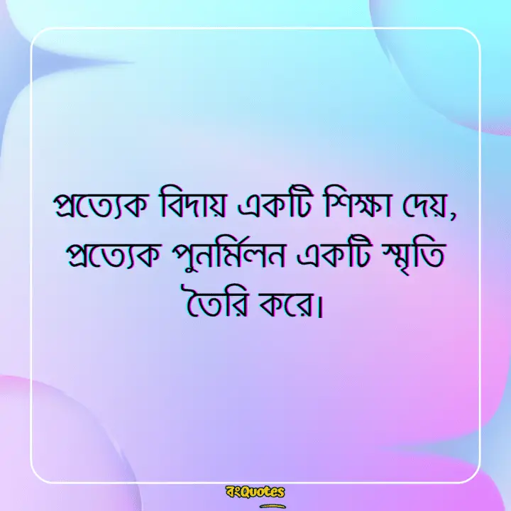 বিদায়ী উক্তি 7