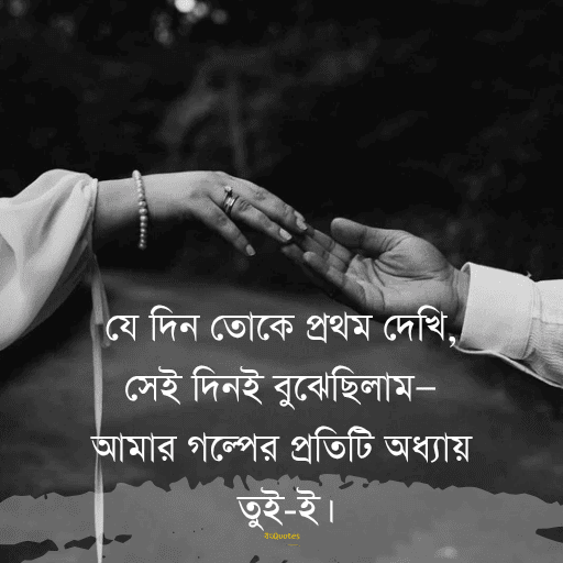 প্রেম নিবেদন 14