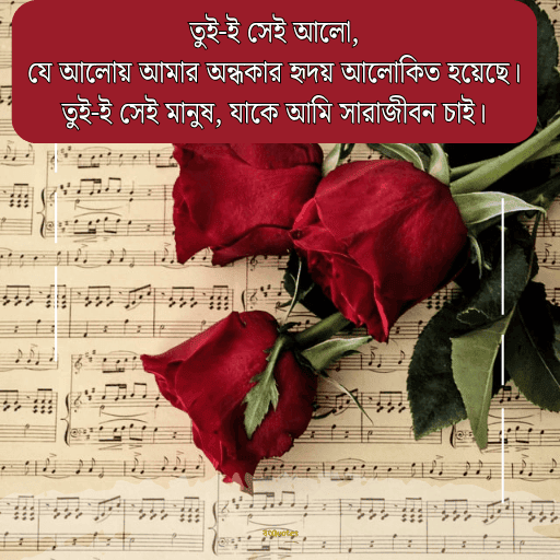 প্রেম নিবেদন 17