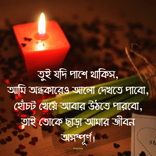 প্রেম নিবেদন 2