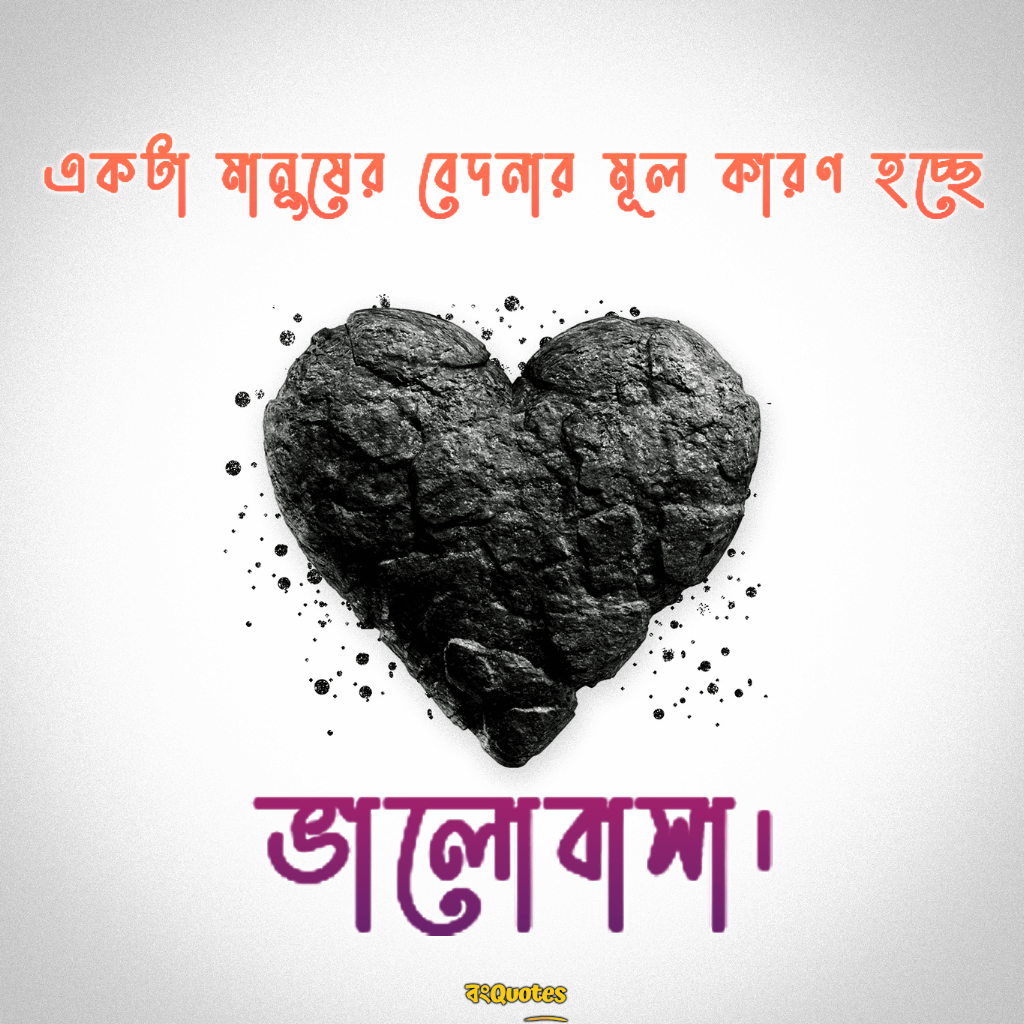 বেদনা নিয়ে বাণী 2