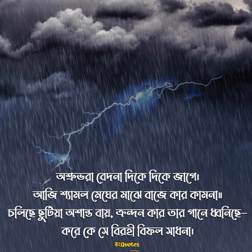 বেদনা নিয়ে কবিতা 