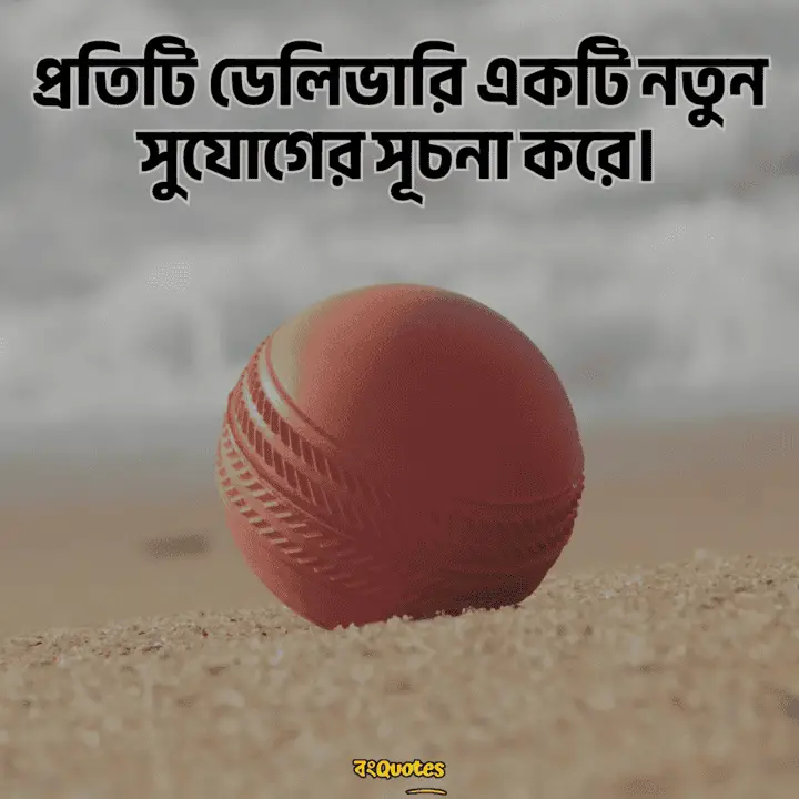 ক্রিকেট নিয়ে ক্যাপশন 9