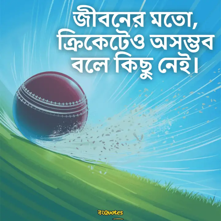 ক্রিকেট নিয়ে ক্যাপশন 15