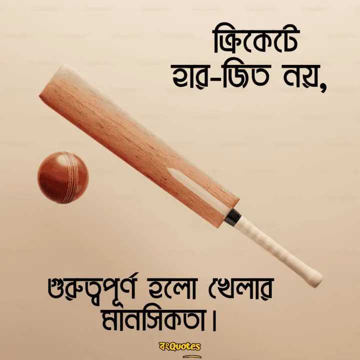 ক্রিকেট নিয়ে ক্যাপশন 18