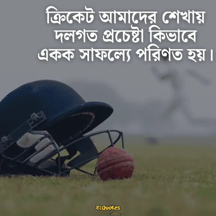 ক্রিকেট নিয়ে ক্যাপশন 3