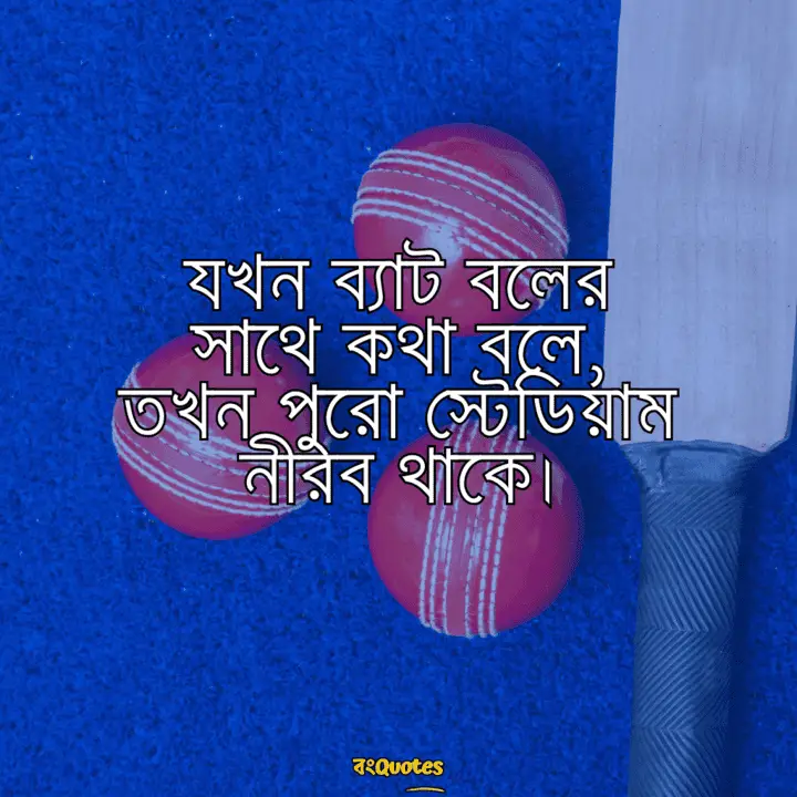 ক্রিকেট নিয়ে ক্যাপশন 5