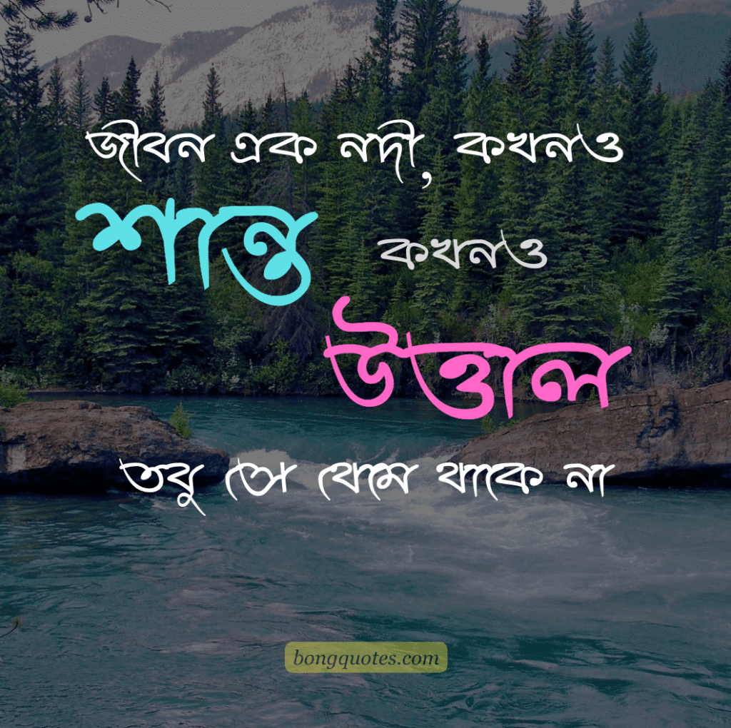 জীবন এক নদী, কখনও শান্ত, কখনও উত্তাল; তবু সে থেমে থাকে না। - জীবন নিয়ে কাব্যিক ক্যাপশন