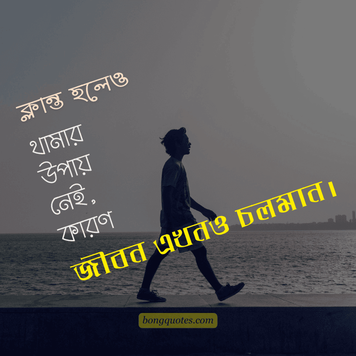 ক্লান্ত হলেও থামার উপায় নেই, কারণ জীবন এখনও চলমান।